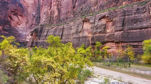 Riverside Walk Trail along Virgin River in Zion National Park, Utah Stock Footage 332021368