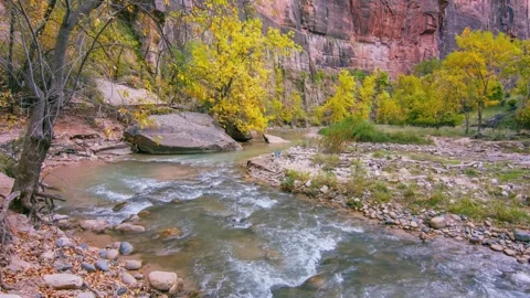 Riverside Walk Trail Along the Virgin River in Autumn, Zion National Park, Utah, Stock Footage 332022142