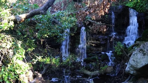 Riverside Waterfalls Nature Background | Stock Video | Pond5