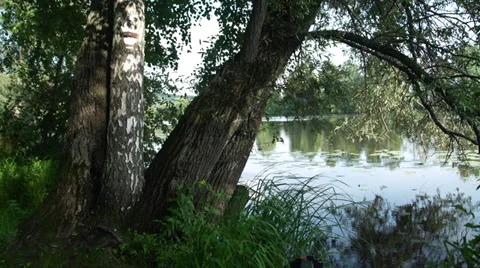 On the riverside.  Zooming 스톡 동영상 36218180