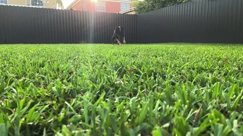 RiverSlowmo2 Stock Footage 202183432