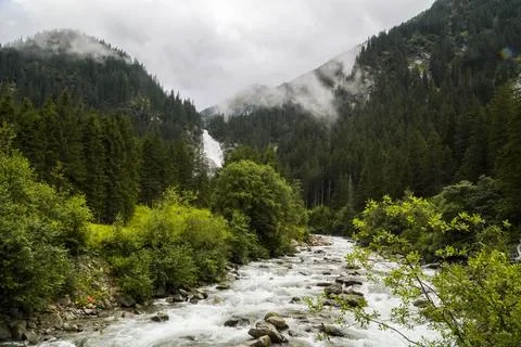 Riverstream in green pine forest Stock Photos