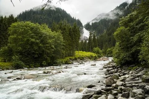 Riverstream through green pine forest Stock Photos