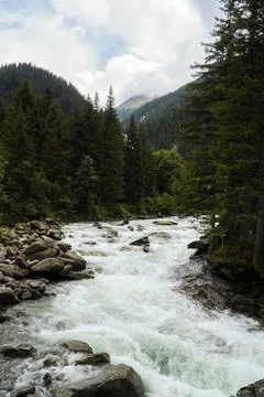 Riverstream through green pine forest Stock Photos