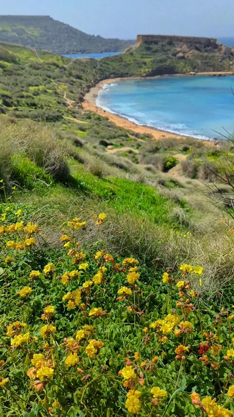 Riviera Bay Beach Surrounded by Green Hills in Malta Stock Footage 332012592