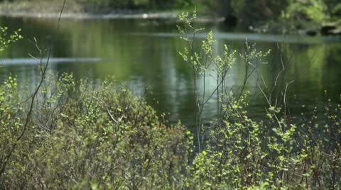 Rivière Stock Footage 21358600