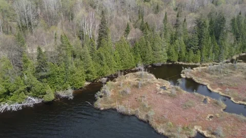 Riviere Rouge Forest and Recursive Islands Stock Footage 158119116