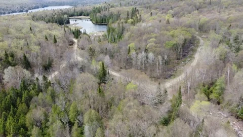 Riviere Rouge Forest Paths and Lake Stock Footage 158119273