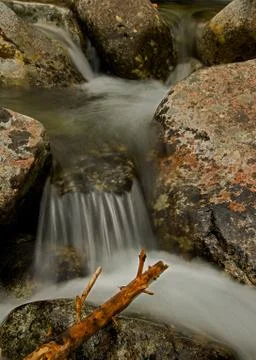 Rivulet detail Stock Photos