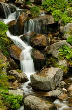 Rivulet detail Stock Photos