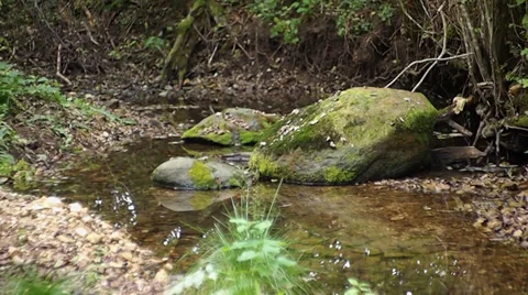 Rivulet Vídeo Stock 29668996