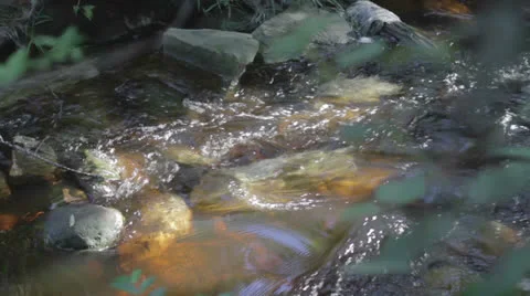 Rivulet mountain stream 01 Video stock 27169125