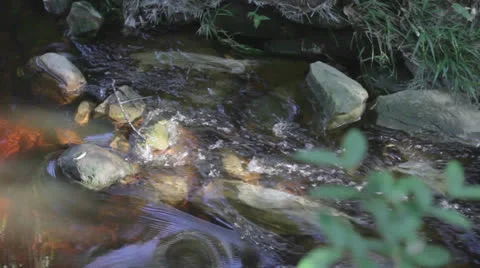 Rivulet mountain stream 03 Stock Footage 27179665
