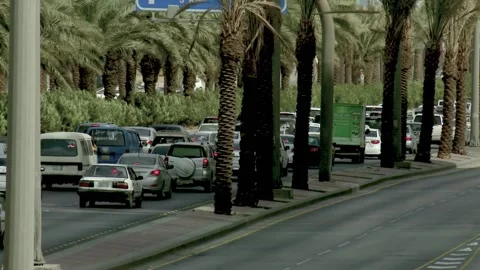 Riyadh Palm Lined Traffic Stock-Footage 346235884