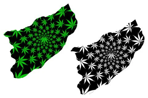 Rize (Provinces of the Republic of Turkey) map is designed cannabis leaf gree Stock Illustration