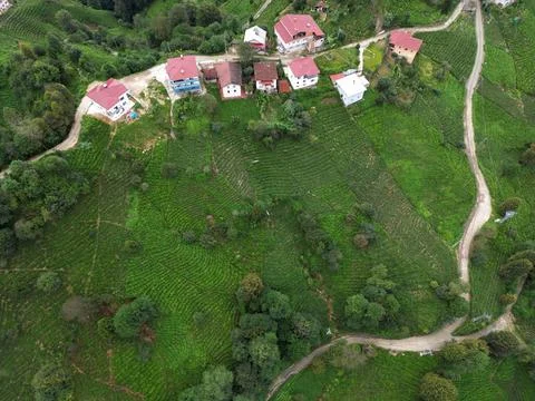 Rize, Turkey. Stock Photos