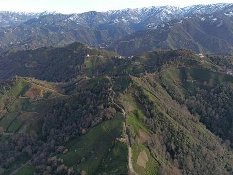 Rize, Turkey. Foto stock
