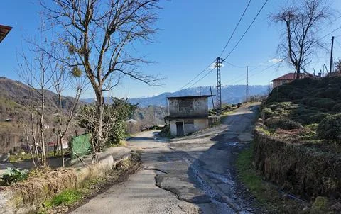 Rize, Turkey. Stock Photos
