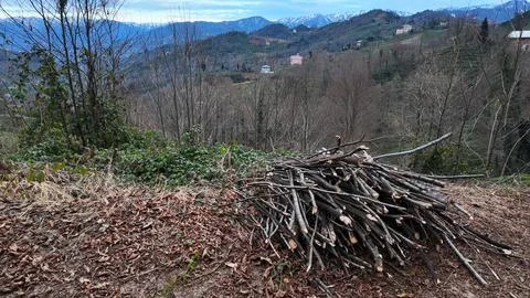 Rize, Turkey. Stock Photos