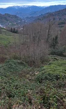 Rize, Turkey. Stock Photos