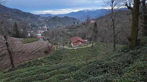 Rize, Turkey. Stock Photos