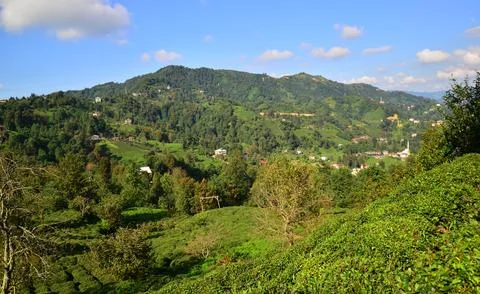Rize, Turkey. Stock Photos