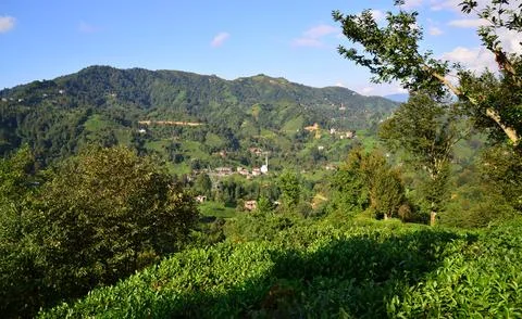 Rize, Turkey. Stock Photos