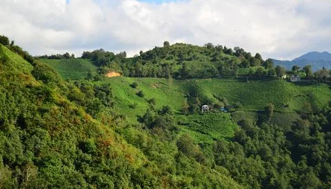 Rize, Turkey. Stock Photos