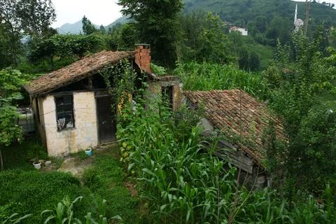 Rize, Turkey. Foto stock