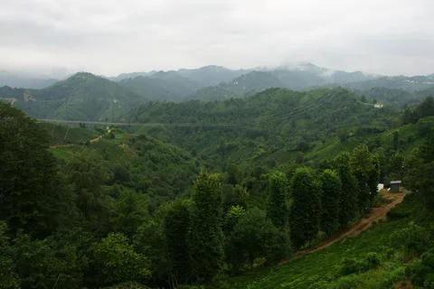 Rize, Turkey. Foto stock