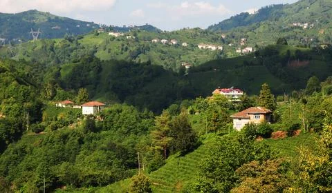 Rize, Turkey. Stock Photos