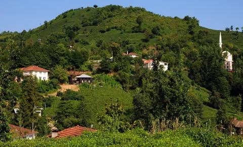 Rize, Turkey. Stock Photos