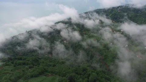 Rize Turkey tea fields cover green hillsides under fog - Green Tea and Tea Farm Stock Footage 339340646