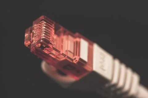 RJ 45 Network cable close-up Stock Photos