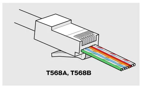 RJ45 Network Connector Closeup view Stock Illustration