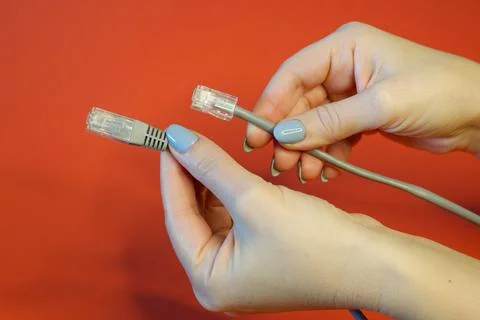 RJ45 network connector on a red background in well-groomed female hands Stock Photos