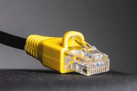 RJ45 network plug close-up on a gray background. Ethernet plug 100 mb Stock Photos