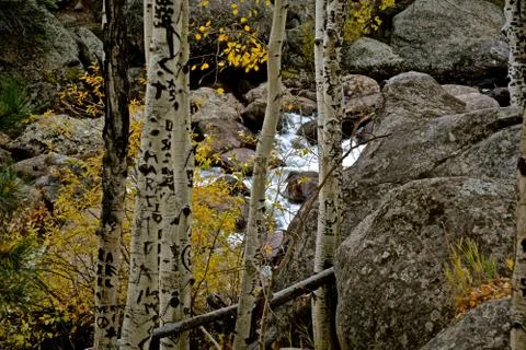 Rmnp  - 009 写真素材