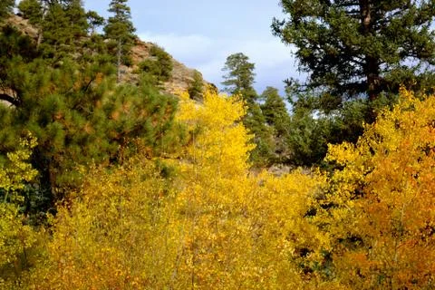Rmnp  - 026 Stock Photos