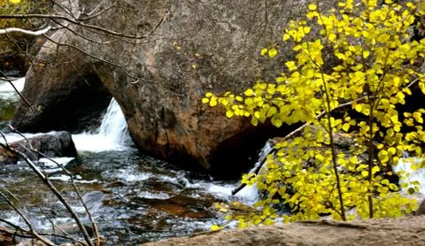 Rmnp  - 043 写真素材