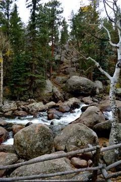 Rmnp  - 062 写真素材