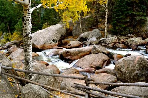 Rmnp  - 065 写真素材