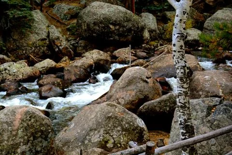 Rmnp  - 070 Fotos Stock