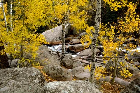Rmnp  - 073 写真素材