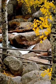 Rmnp  - 076 Fotos Stock