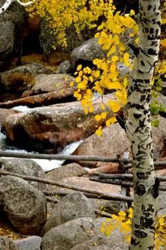Rmnp  - 077 Stock Photos