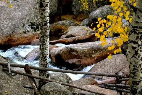 Rmnp  - 079 写真素材