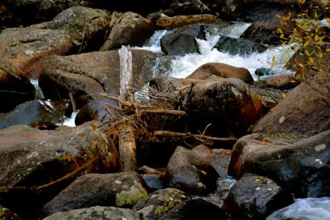 Rmnp  - 089 Fotos Stock