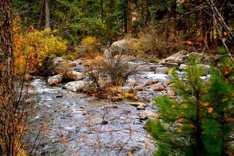 Rmnp  - 104 写真素材