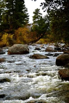 Rmnp  - 112 写真素材